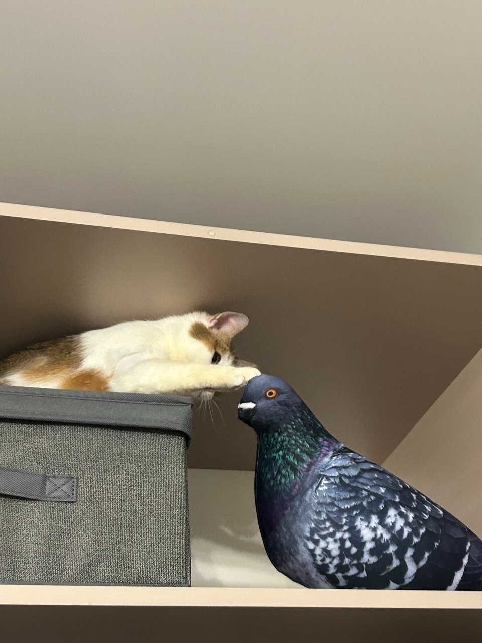 Генерация видео с помощью Wan2.2: установка и первые впечатления - 9