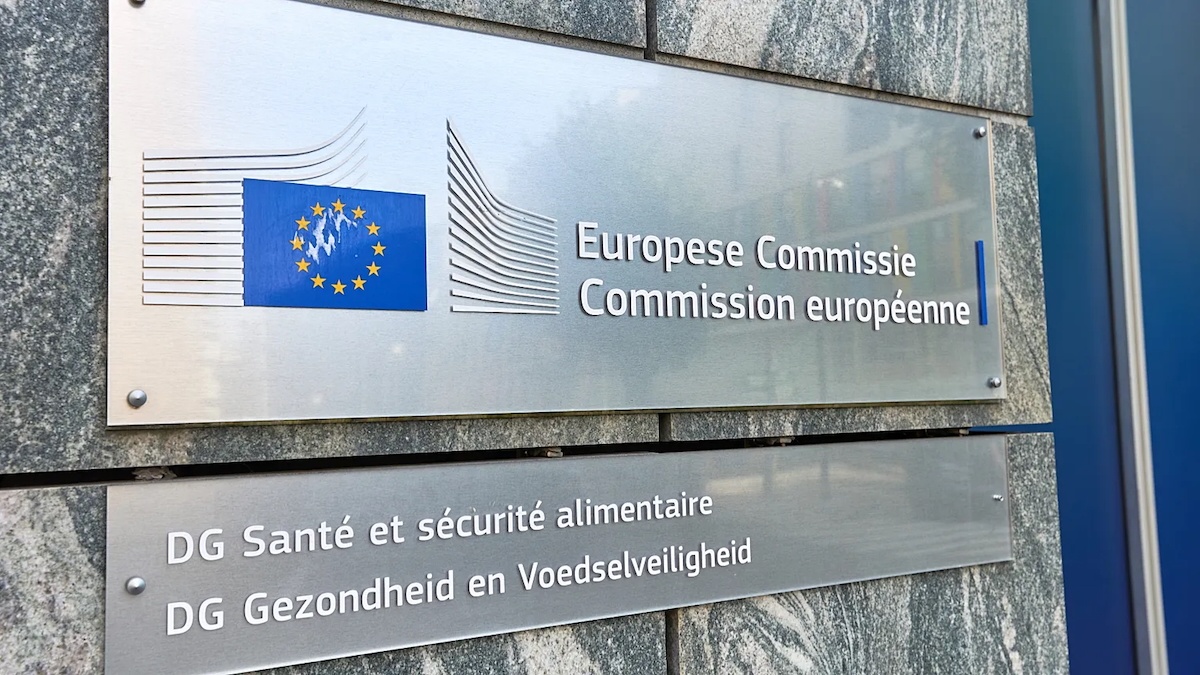 С начала 2024 года Еврокомиссия оштрафовала американские технологические компании на более чем €6 млрд - 1