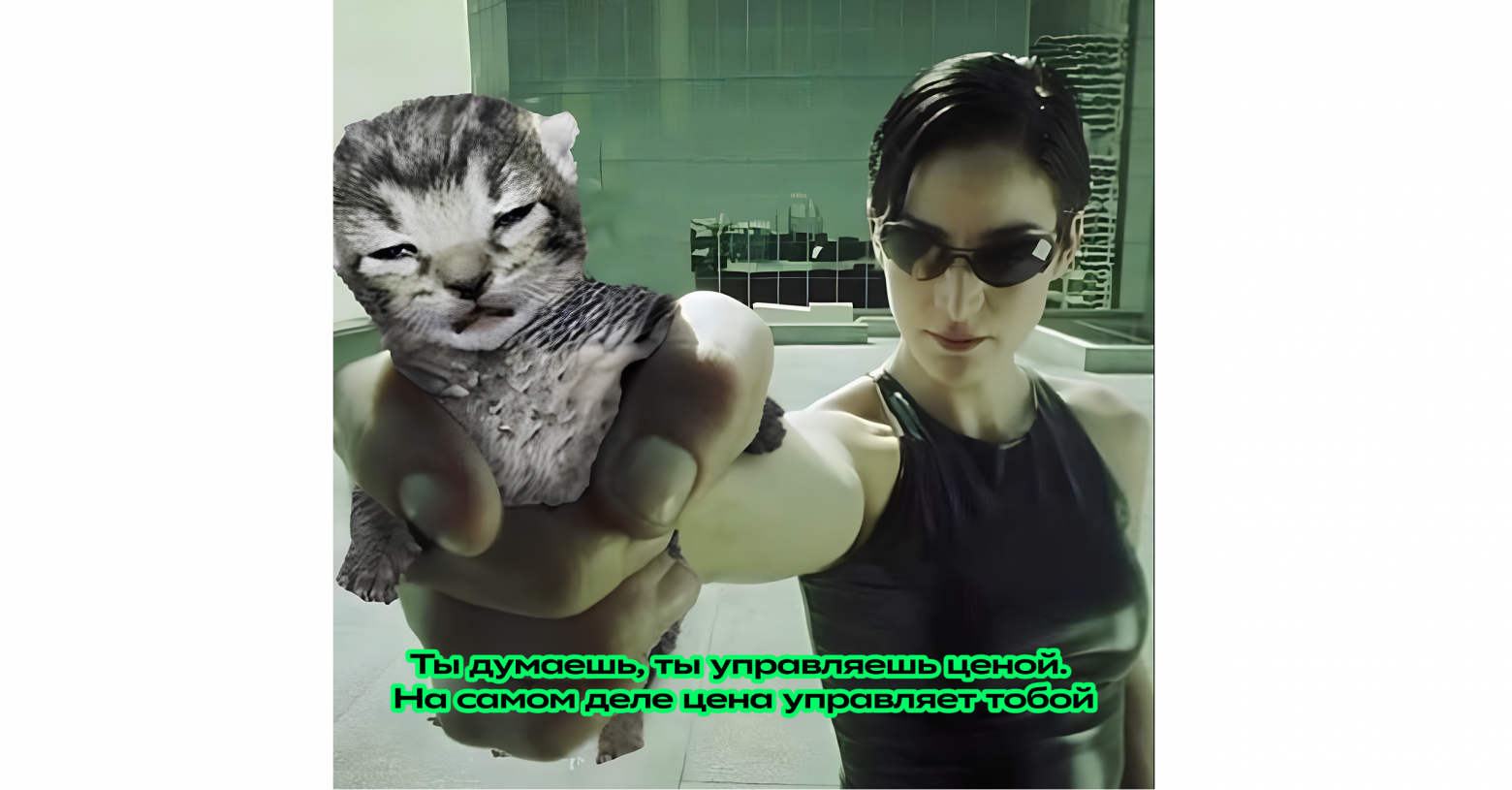 Динамическое ценообразование в E-grocery. Раскладываем по полочкам - 25