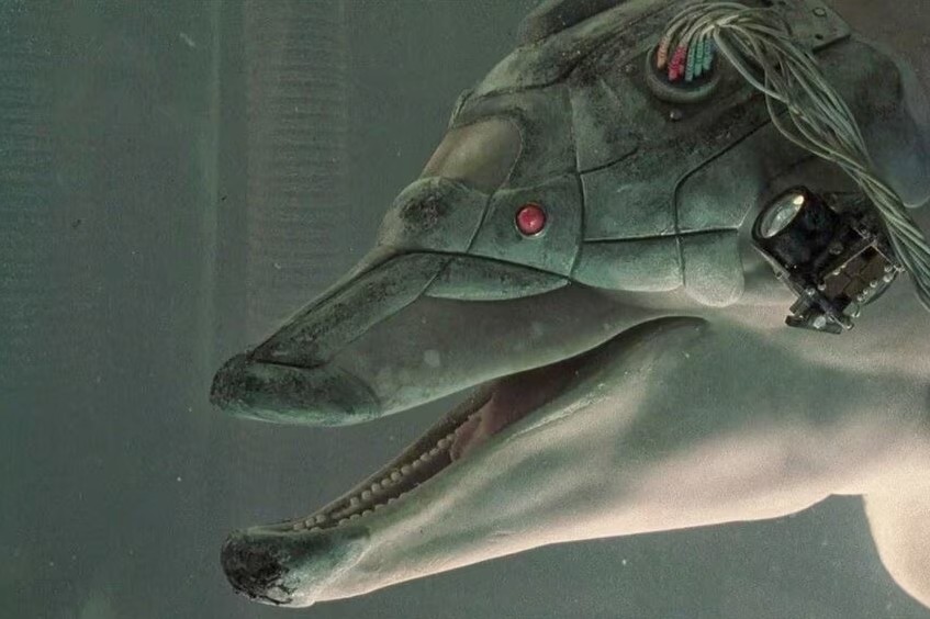 Дельфин-хакер из «Джонни Мнемоника»