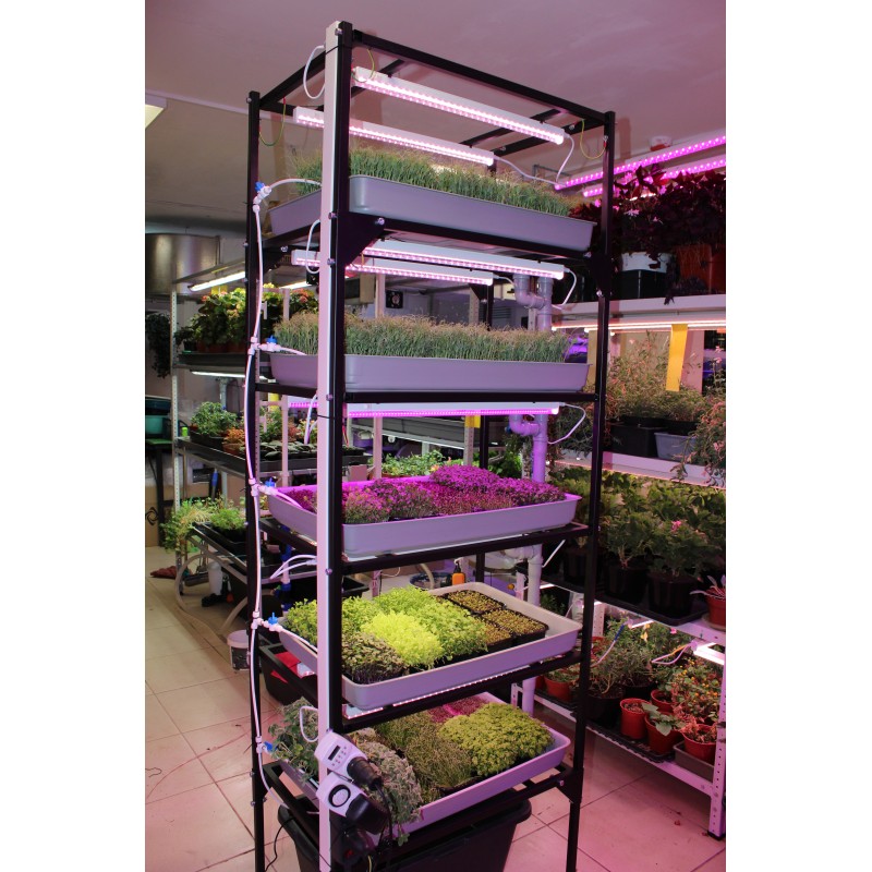 Вертикальная, но горизонтальная ферма