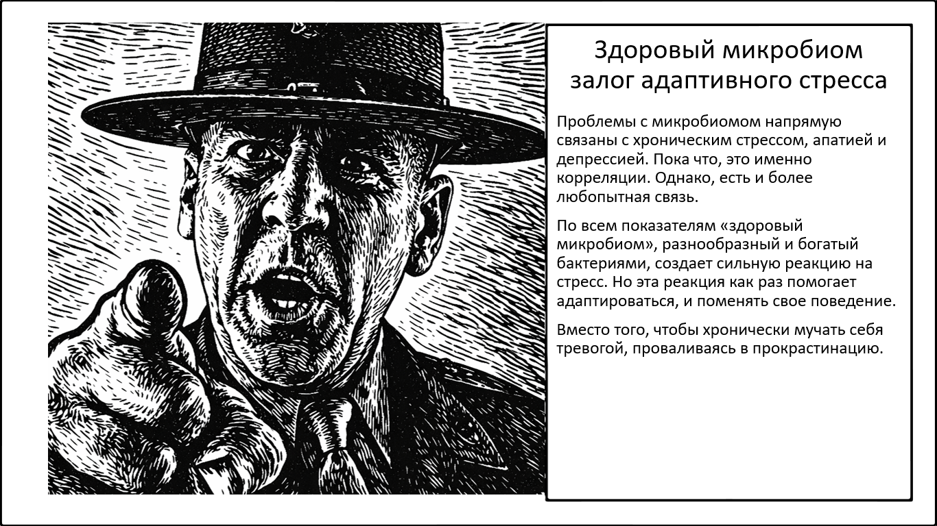 Здоровый стресс и разрушительный стресс. Причина в ЖКТ - 1