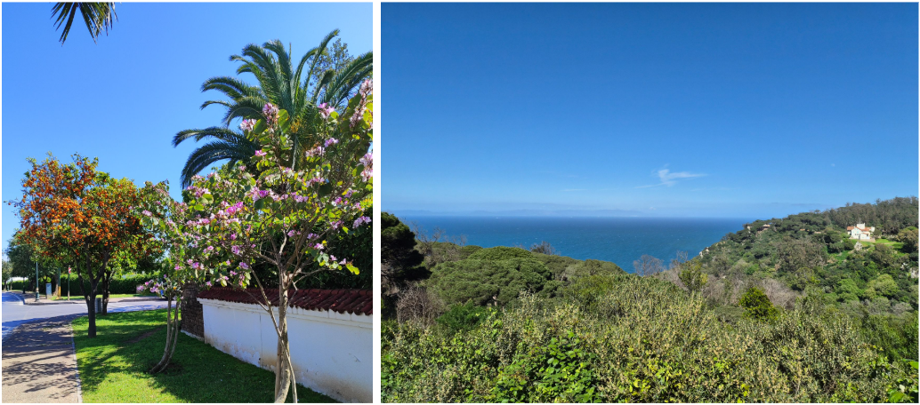 Подобные пейзажи окружали нас всё время, что мы были в Марокко