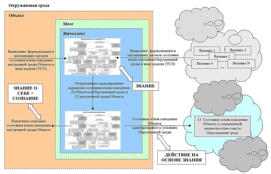 C:UsersevoluDesktopGRAPHICSIntelligenceBrain, Intelligence and Consciousness RU 80126 1AZ.jpg