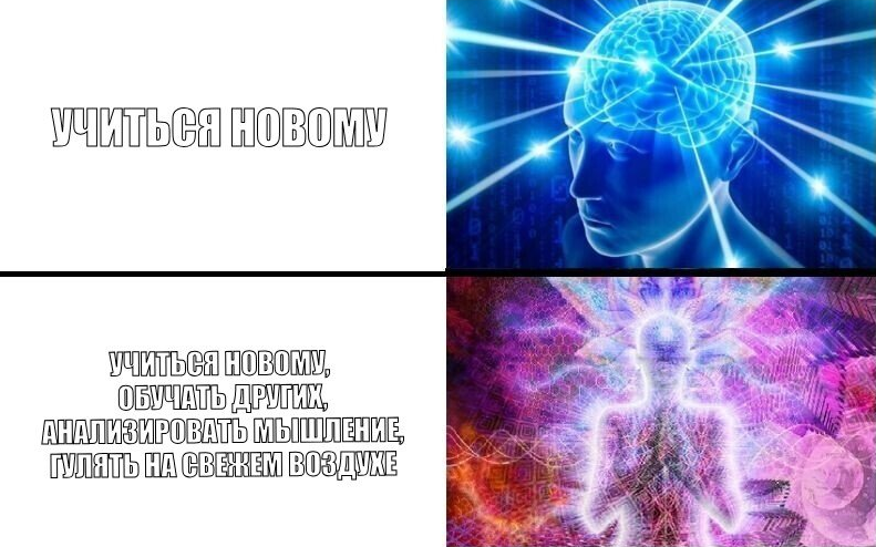 Нейропластичность для разработчика — как учиться эффективнее - 1
