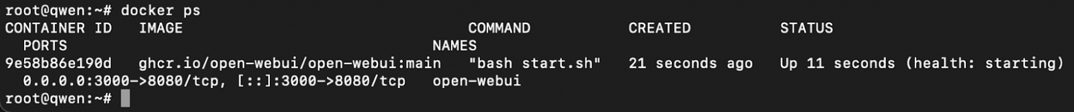 Как развернуть Qwen в облаке так, чтобы модель не была доступна из интернета - 16