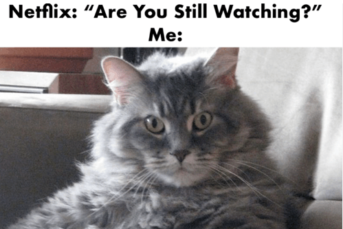 Что тренд грядущий нам готовит: как Netflix меняет правила игры в киноиндустрии на примере отчета Still Watching 2025 - 8