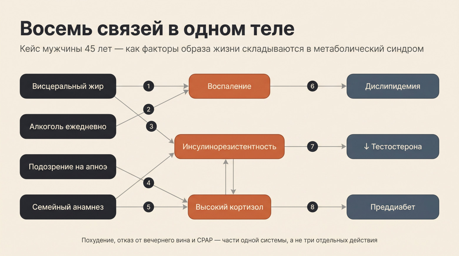 Восемь связей в одном теле. То, что врач держит в голове — а пациент обычно нет.
