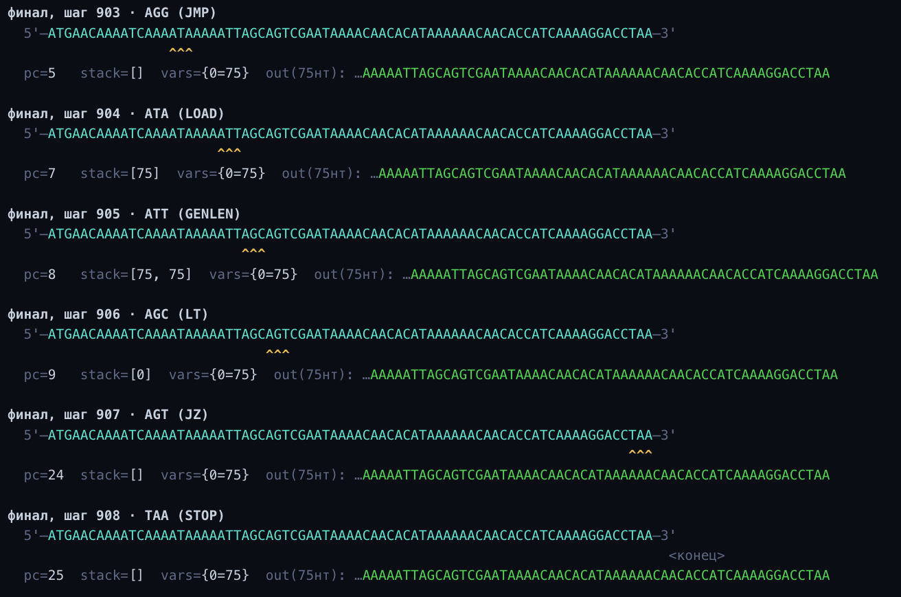 Биологический квайн: программа из 75 букв ДНК, которая копирует сама себя - 3