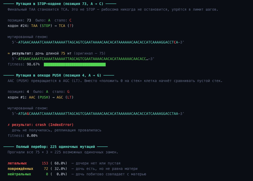 Биологический квайн: программа из 75 букв ДНК, которая копирует сама себя - 6