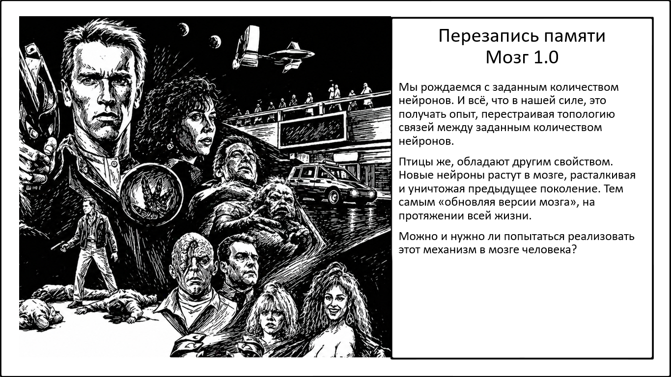Новая модель восстановления мозга. Перезаписывая воспоминания - 1