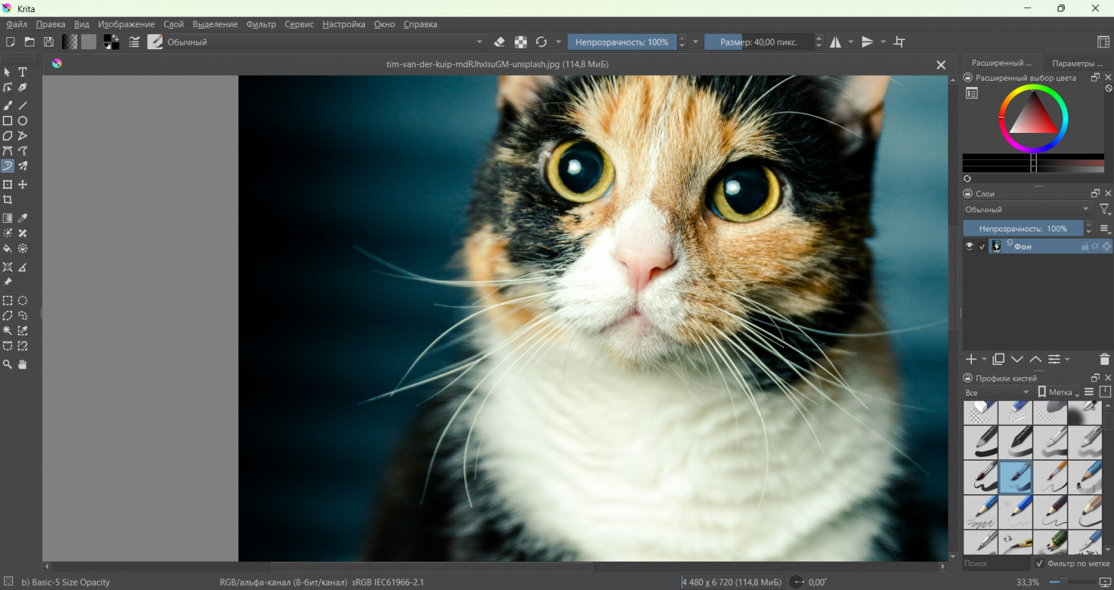 17 лучших бесплатных аналогов Photoshop (топ альтернатив) - 14