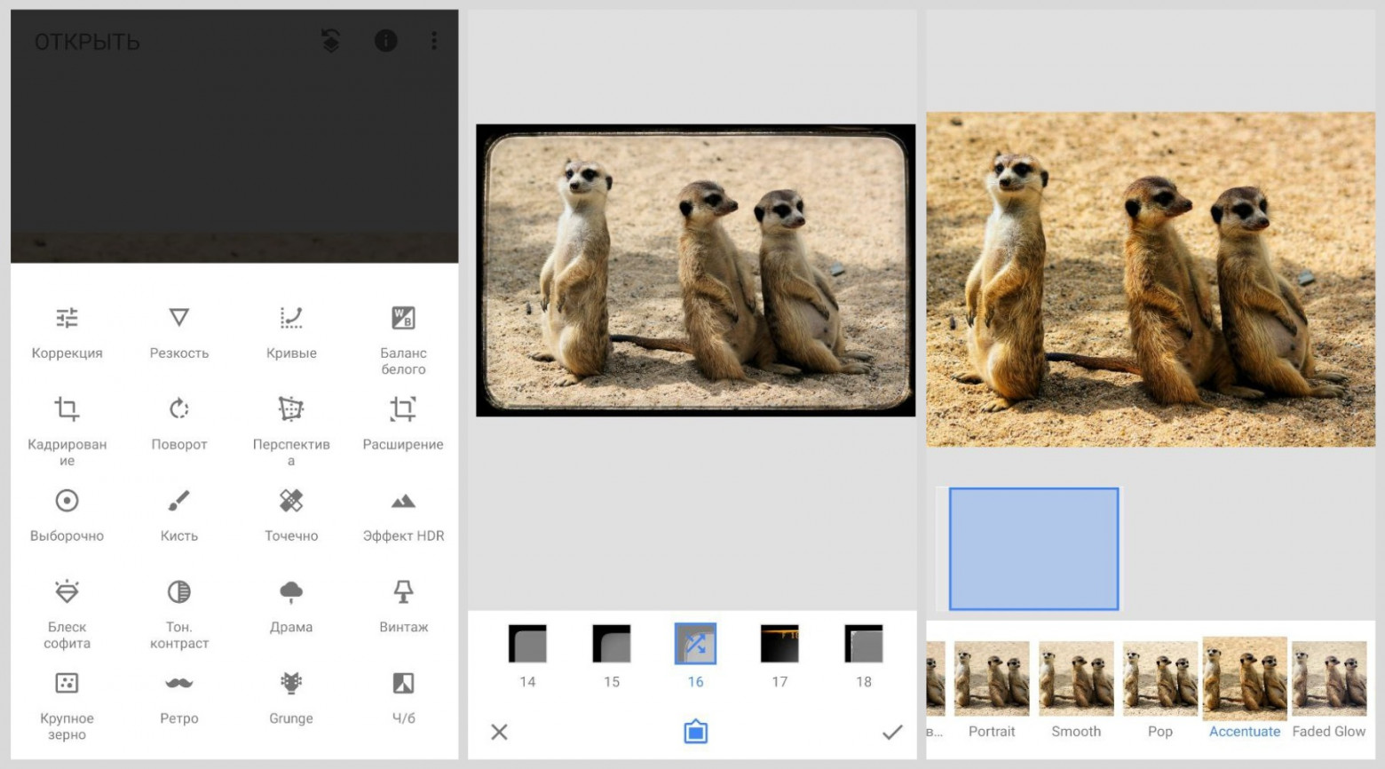 17 лучших бесплатных аналогов Photoshop (топ альтернатив) - 15