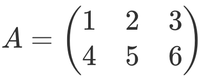 прямоугольная матрица