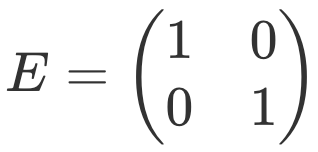Единичная матрица