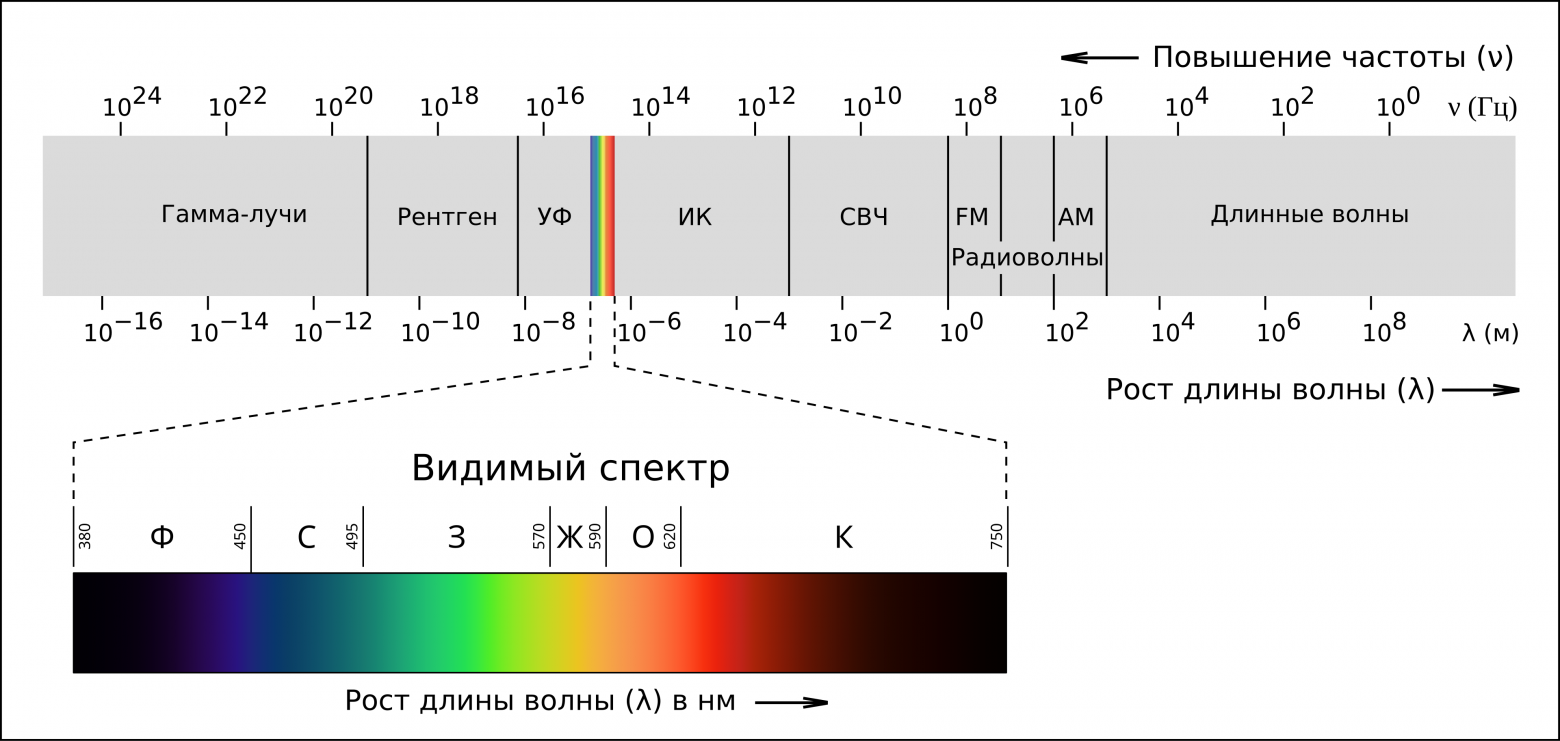 Спектр видимых нами цветов невероятно узок