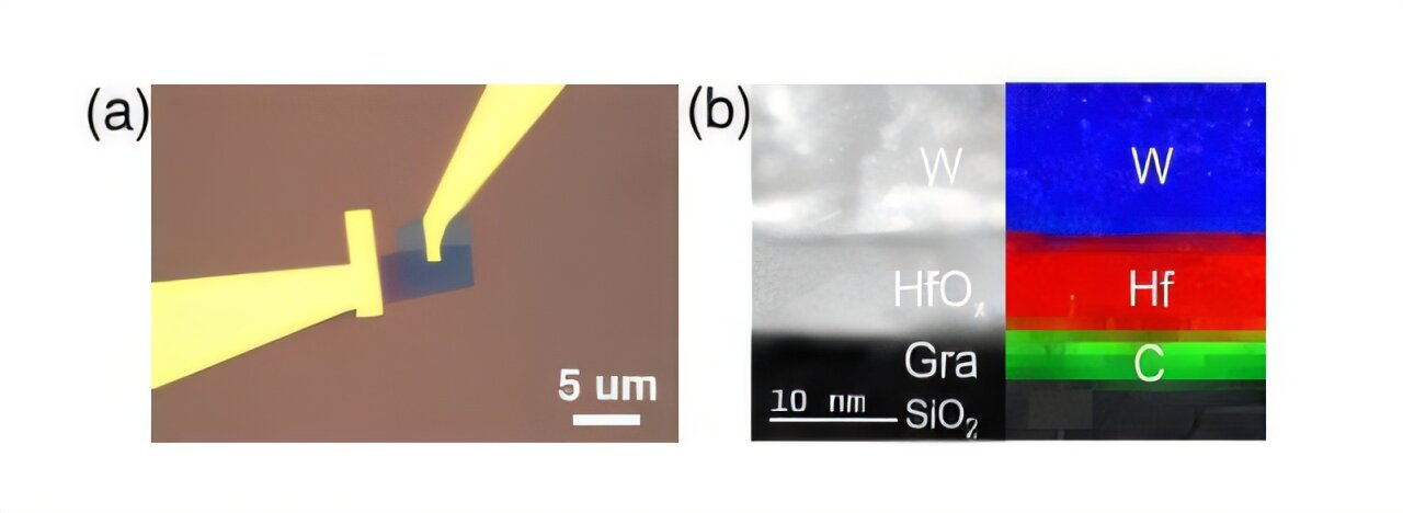 Устройство Gra/HfOx/W и изображение поперечного среза. (a) Оптическое изображение одного устройства размером ~1 мкм × 1 мкм. (b) Изображение поперечного среза, полученное с помощью просвечивающей электронной микроскопии, и спектроскопия электрохимического рассеяния для элементов W, Hf и C