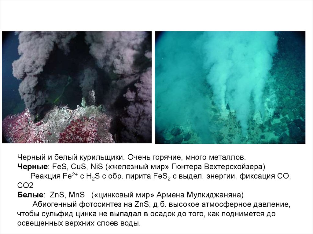 Происхождение, часть 2. Миры РНК и ДНК, автокаталитических сетей, вирусов и протоклеток - 10