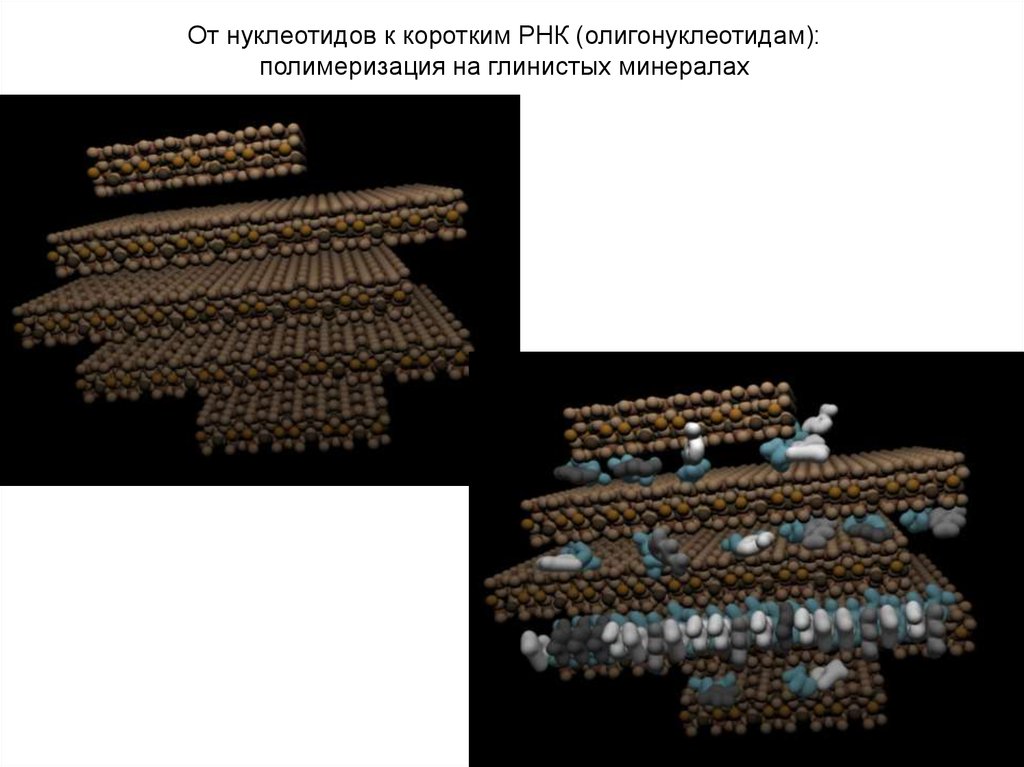 Происхождение, часть 2. Миры РНК и ДНК, автокаталитических сетей, вирусов и протоклеток - 11