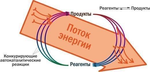 Происхождение, часть 2. Миры РНК и ДНК, автокаталитических сетей, вирусов и протоклеток - 14