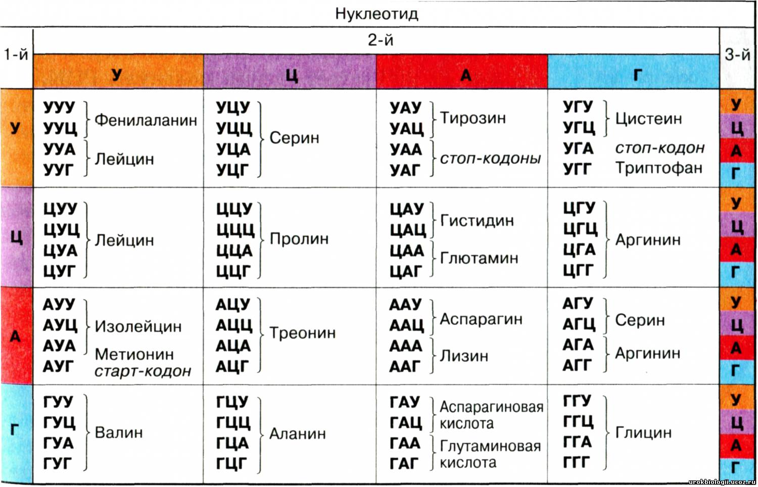 Таблица генетического кода