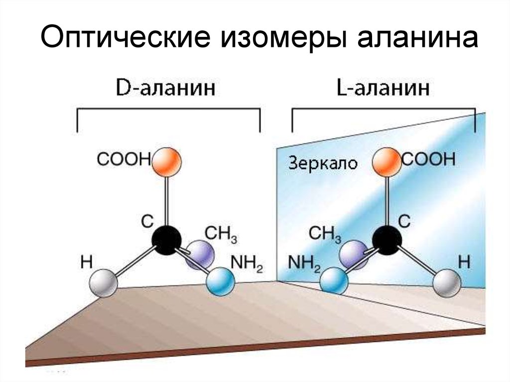 Происхождение, часть 2. Миры РНК и ДНК, автокаталитических сетей, вирусов и протоклеток - 6