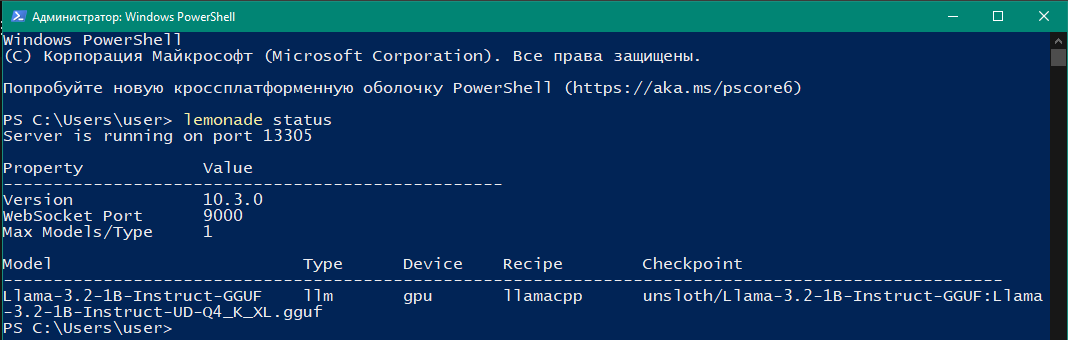 Lemonade — локальный LLM-сервер при поддержке AMD. Зачем он нужен, если есть Ollama? - 4