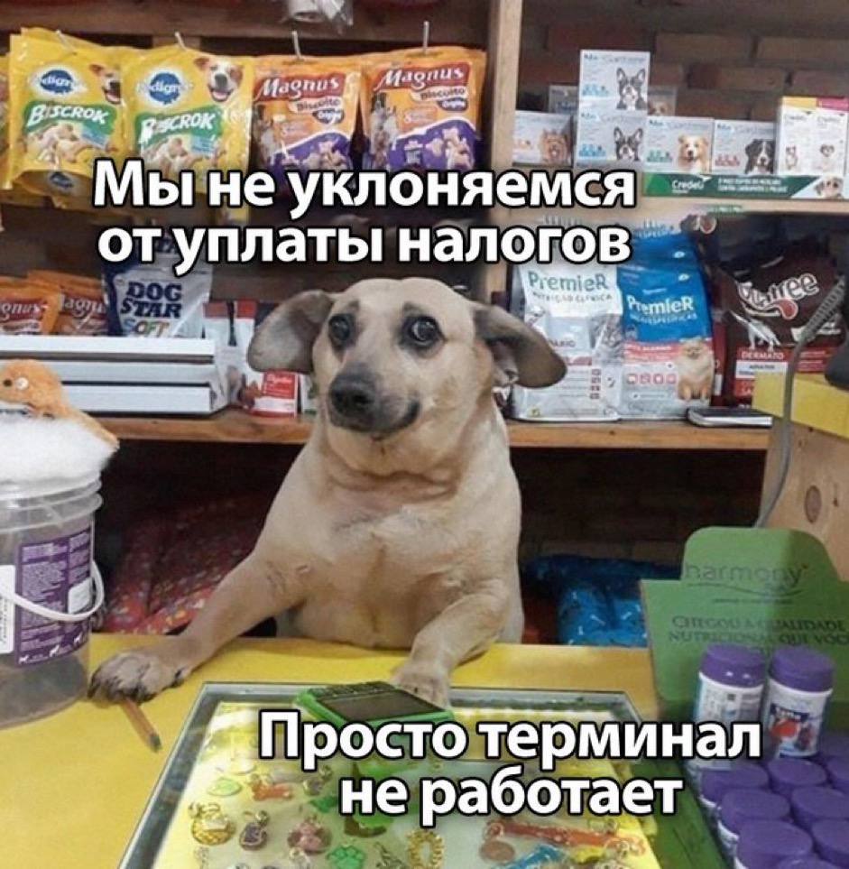 Типичный представитель малого бизнеса, когда в ларек зашел товарищ налоговый инспектор