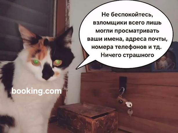 (Не) безопасный дайджест: утечка у Booking.com, McKinsey против ИИ-агента и миллион «не туда» - 3