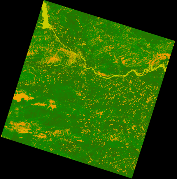 Пример NDVI: чем зеленее, тем гуще растительность