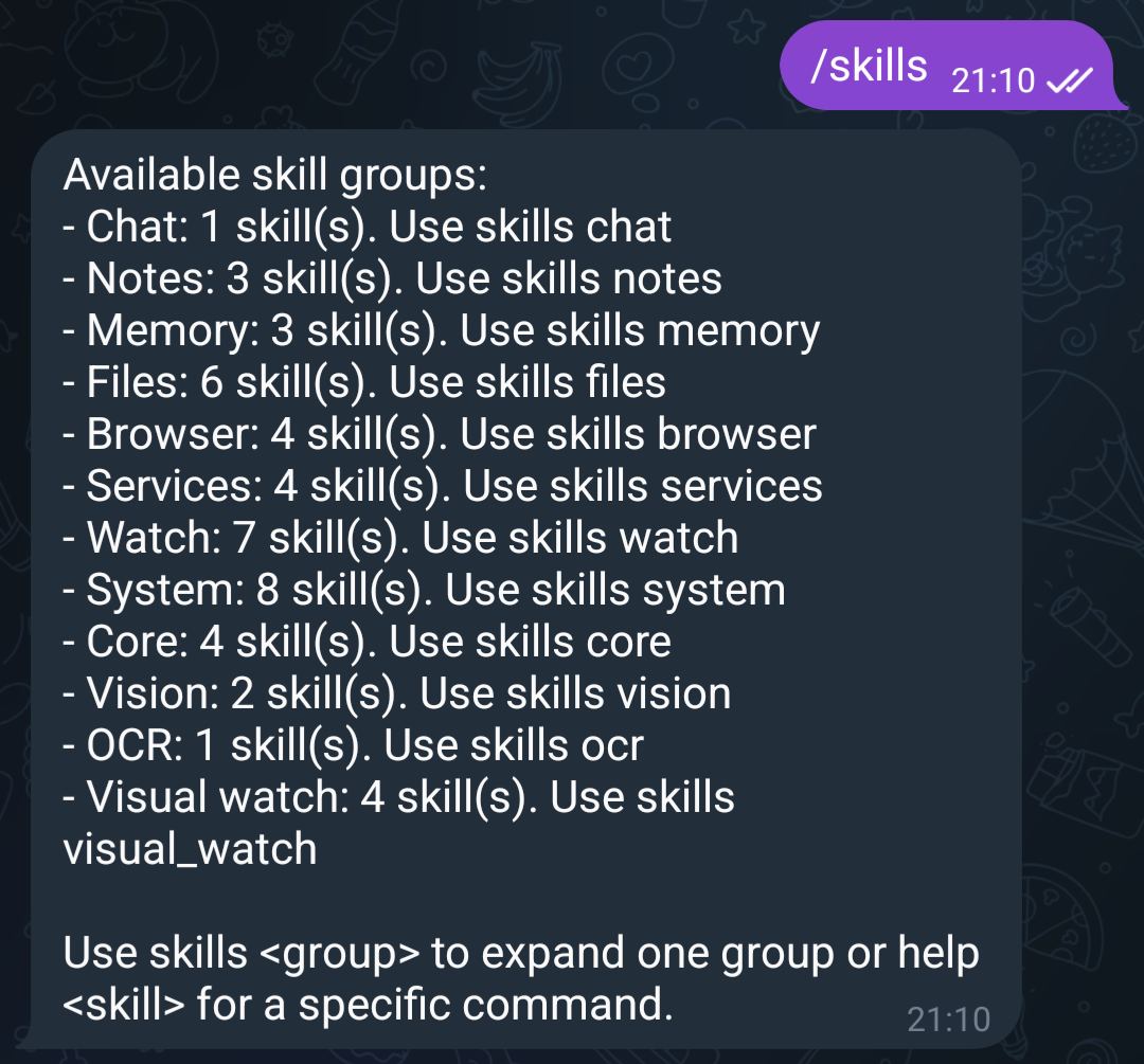 /skills с группами: Chat, Notes, Memory, Files, Browser, Services, Watch, System, Core, Vision, OCR, Visual watch.