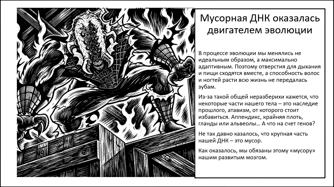 Как «мусорная ДНК» обеспечила эволюцию мозга - 1 Как «мусорная ДНК» обеспечила эволюцию мозга - 1