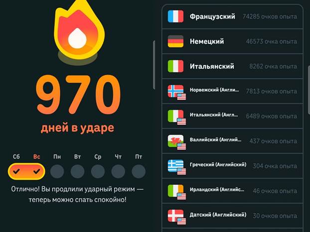 Мой Duolingo