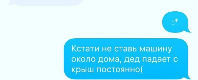 Сумасшедшая история Т9: Стартапы, дельфины и буддизм против выгорания - 6