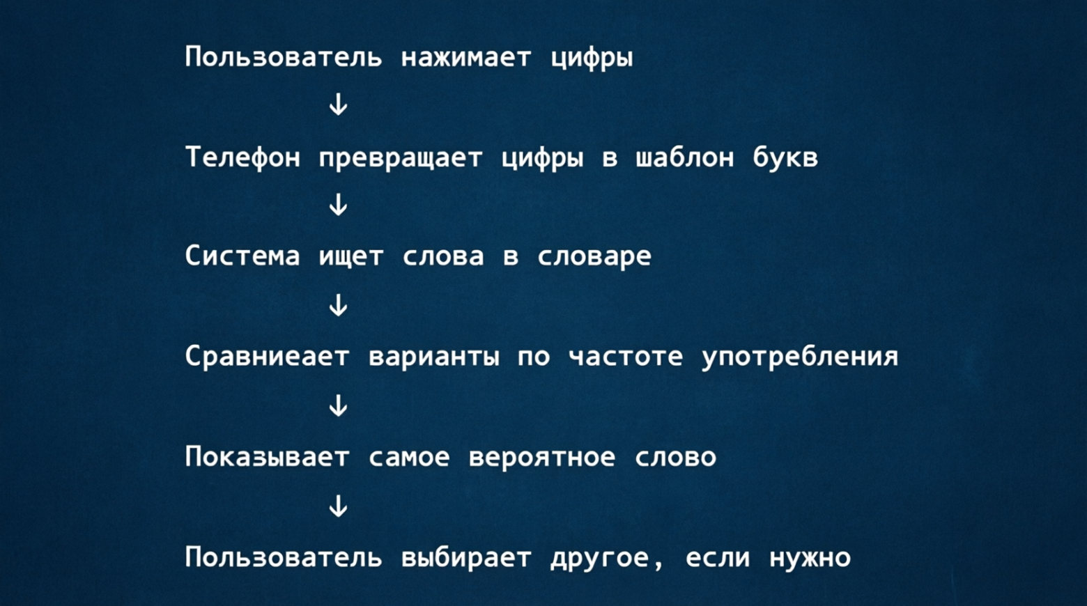 Сумасшедшая история Т9: Стартапы, дельфины и буддизм против выгорания - 7