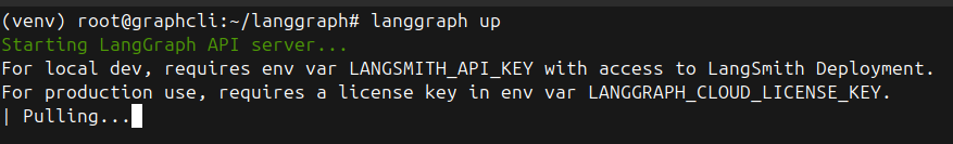 Облачная LLM на 16 ГБ VRAM — часть 2: LangGraph Server, LangSmith и SDK - 39