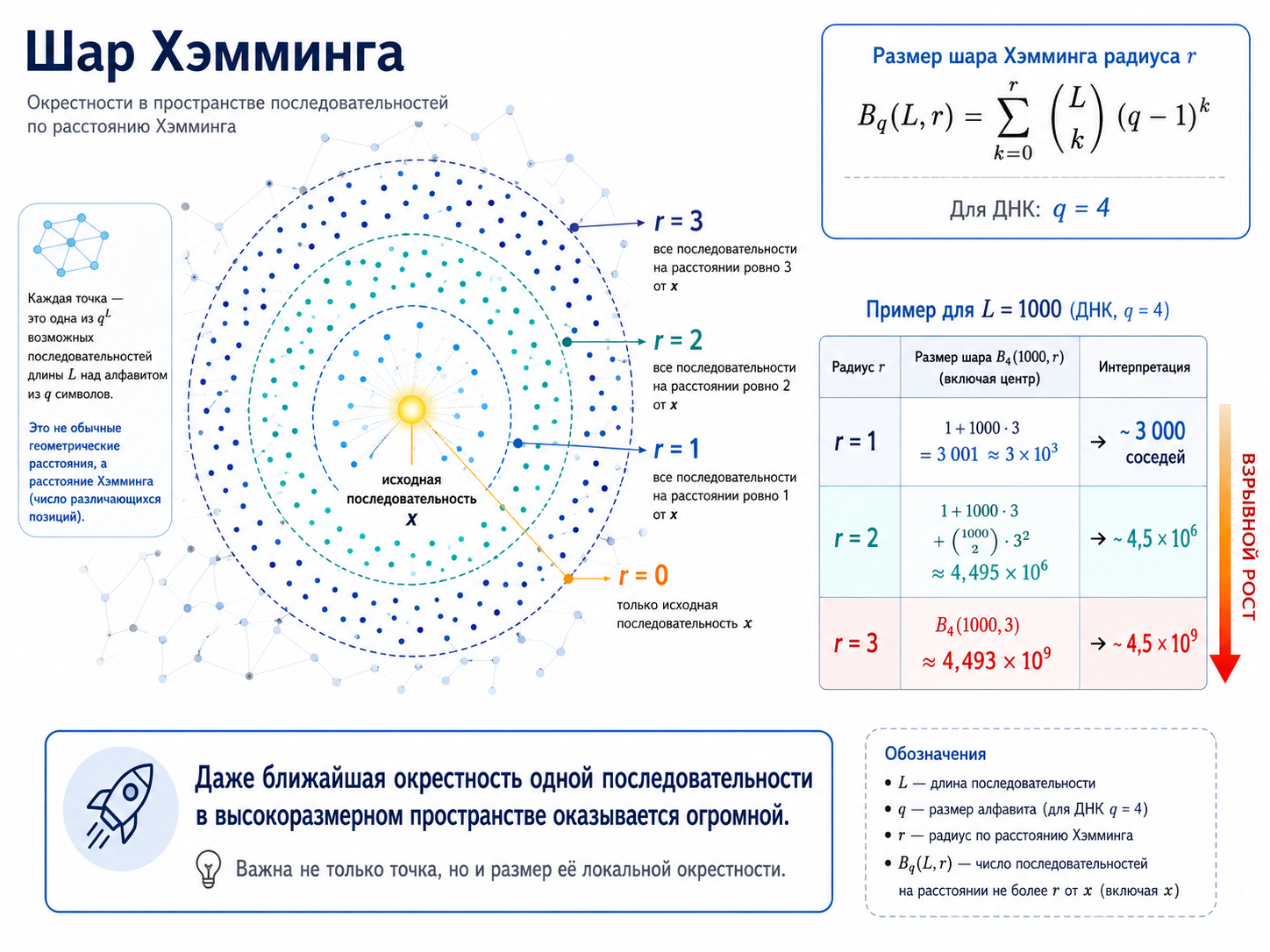 Не пики, а бассейны: почему эволюция — это блуждание по графу жизни - 18 Не пики, а бассейны: почему эволюция — это блуждание по графу жизни - 18
