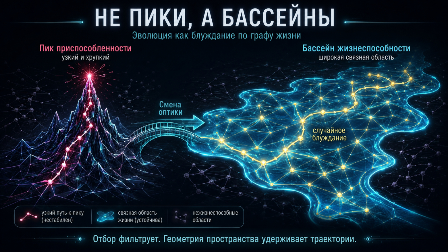 Не пики, а бассейны: почему эволюция — это блуждание по графу жизни - 1 Не пики, а бассейны: почему эволюция — это блуждание по графу жизни - 1