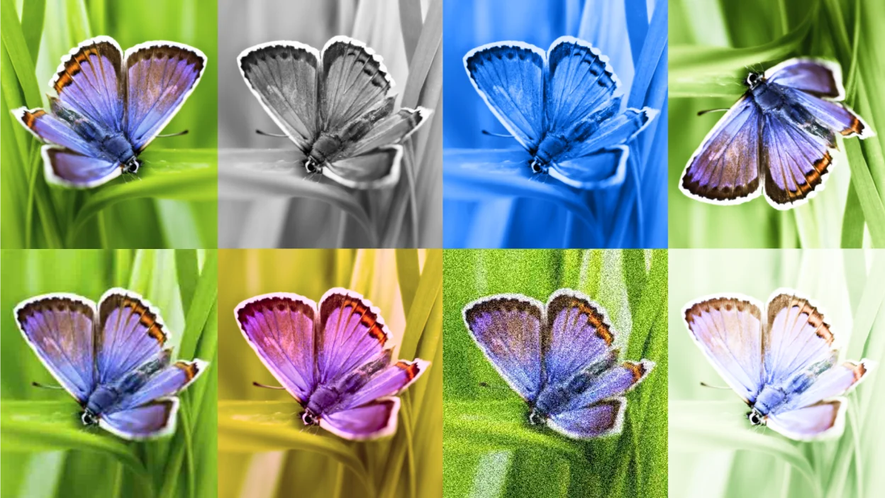 Источник. Источник.