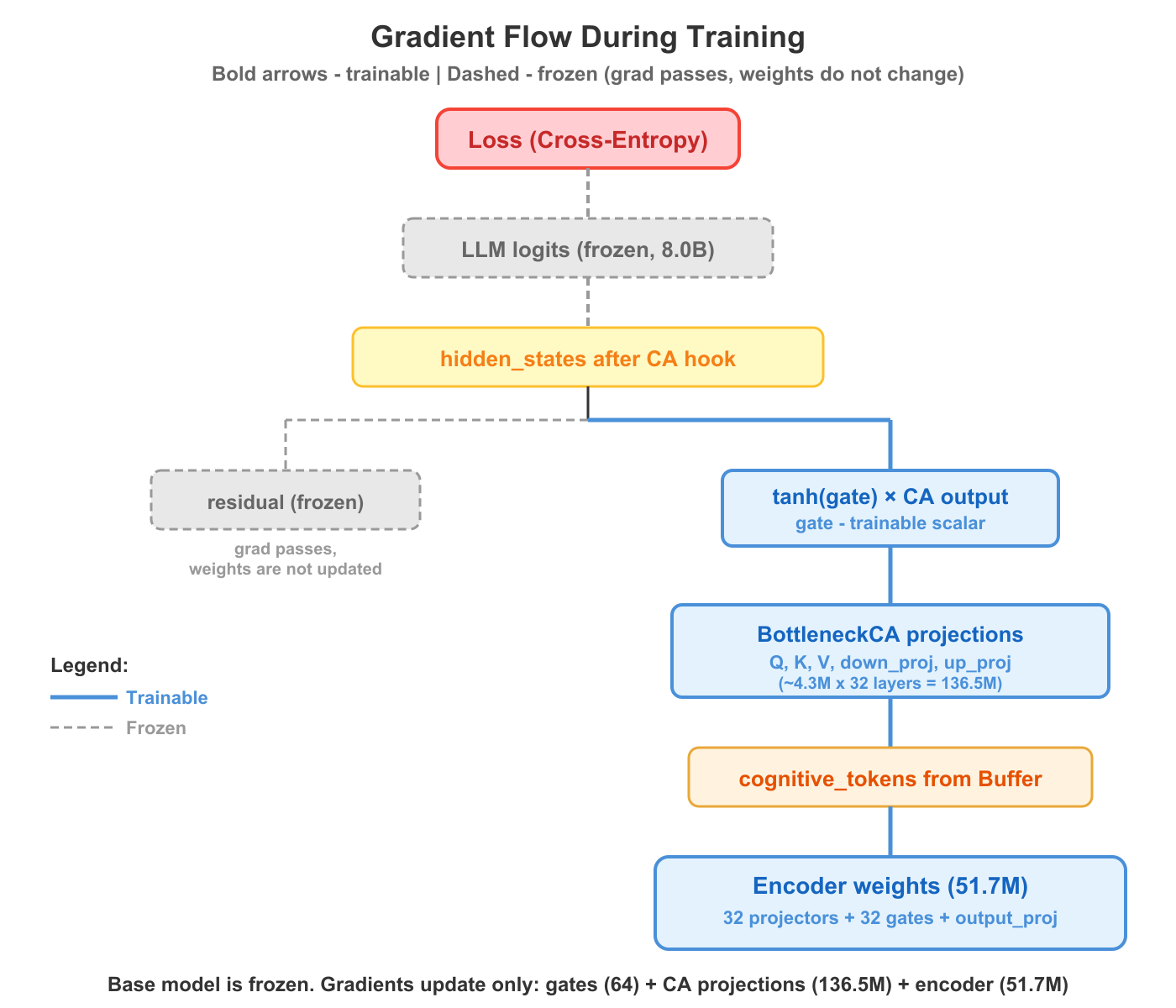 Gradient flow during training