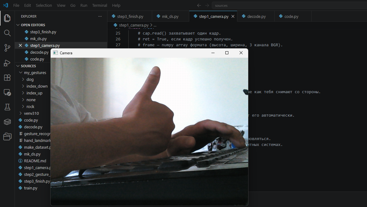Окно OpenCV открывается, есть изображение с камеры.
