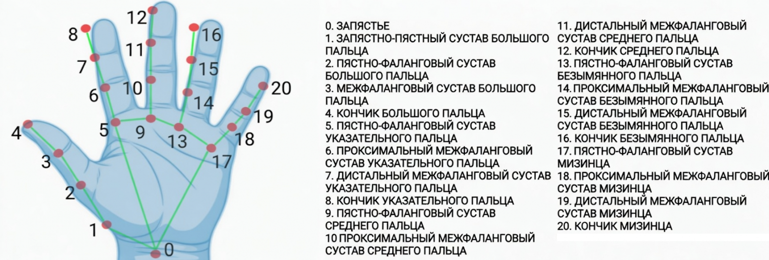 Ключевые точки модели. Изображение из справки Google.