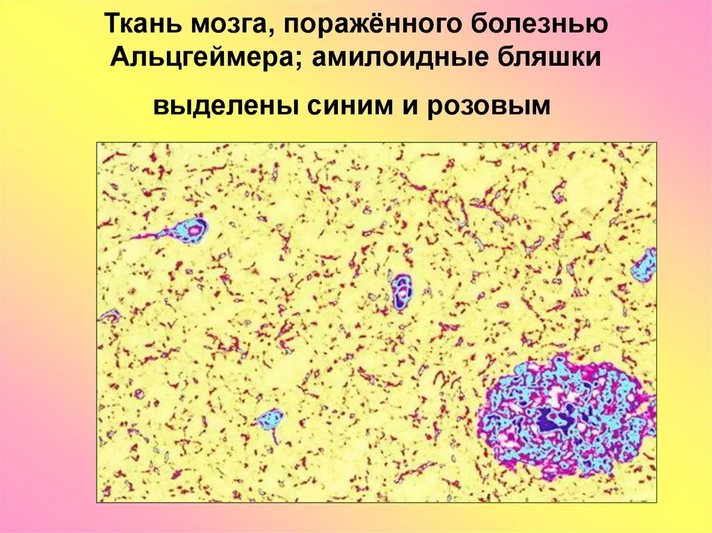 Источник