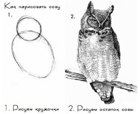 Невозможное возможно: как я получил EB1a самостоятельно, факапы, бюрократический ад, иммиграция за $100к и безработица - 40