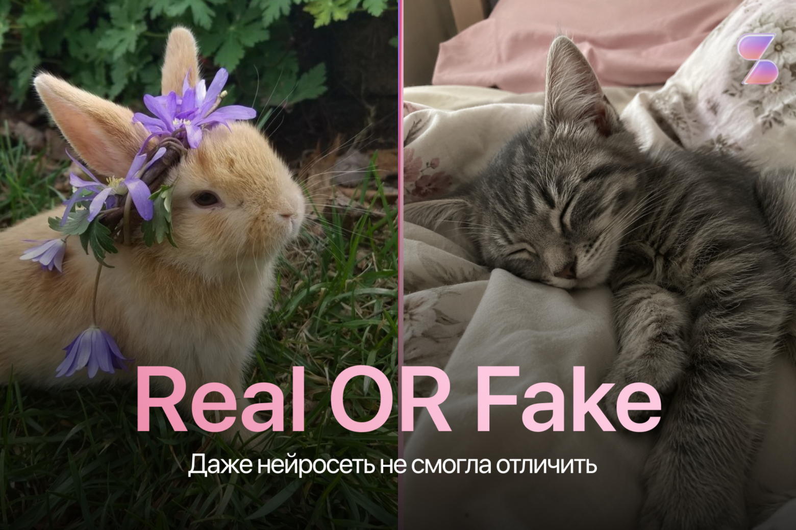 Вы никогда не угадаете, какое животное настоящее - 1