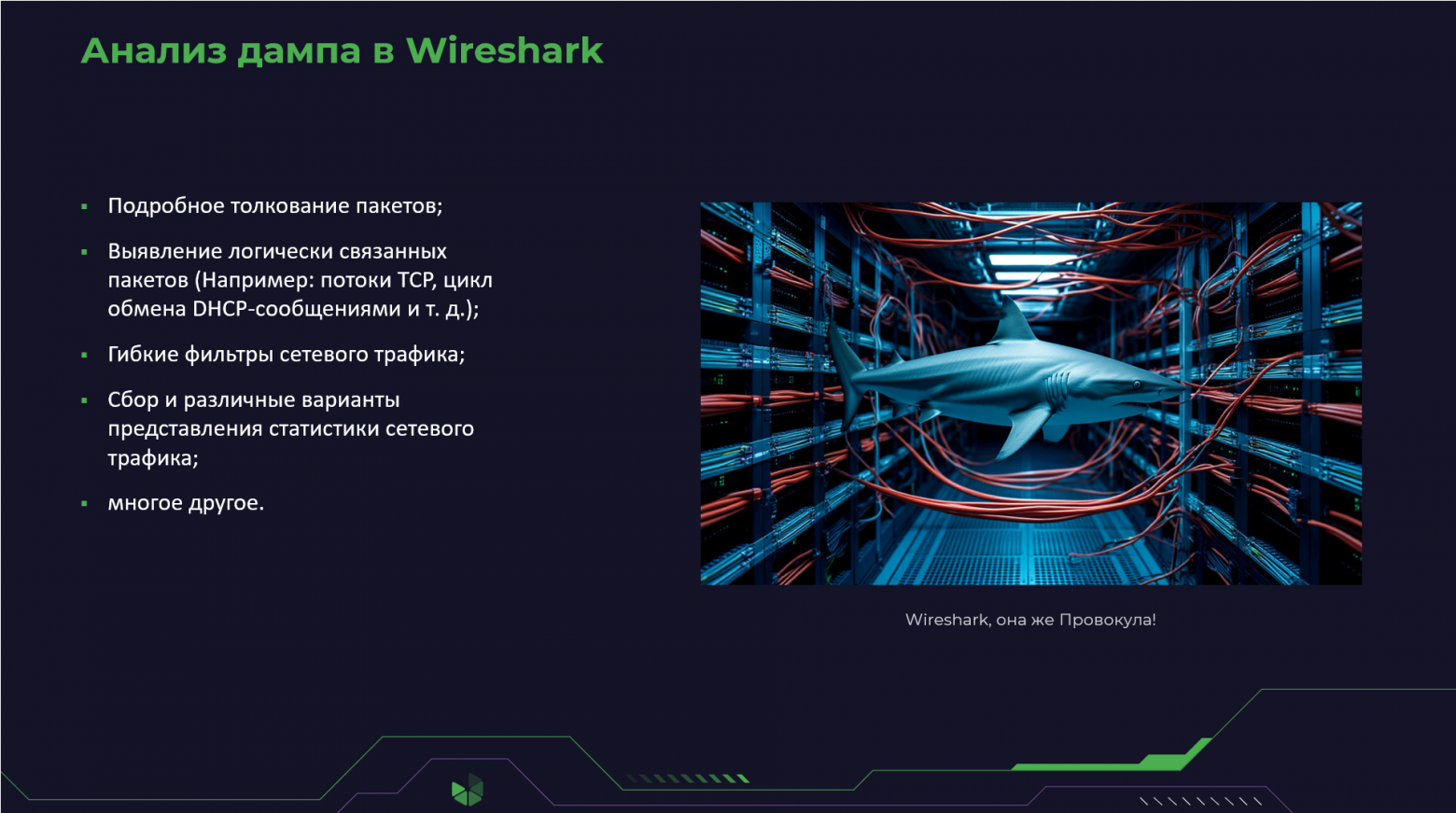 Анализ дампа в Wireshark