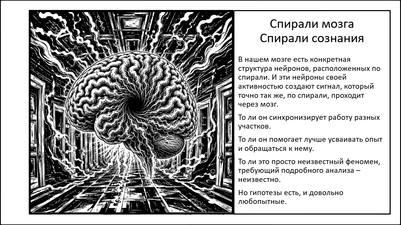 Спиральная активность специфических нейронов буквально координирует мозг в пространстве-времени - 1 Спиральная активность специфических нейронов буквально координирует мозг в пространстве-времени - 1