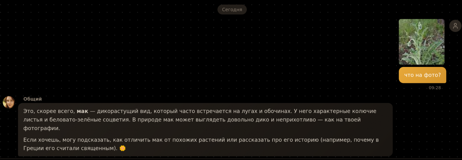 Qwen3 VL Flash. Какая-то другая модель еще написала про опасность и проблемы с этим маком (хотя это декоративный).