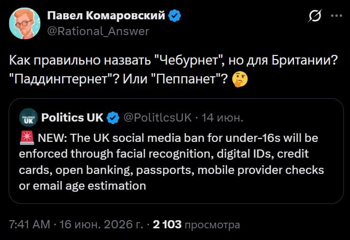 Лучший вариант из комментов — «Оруэллнет»!