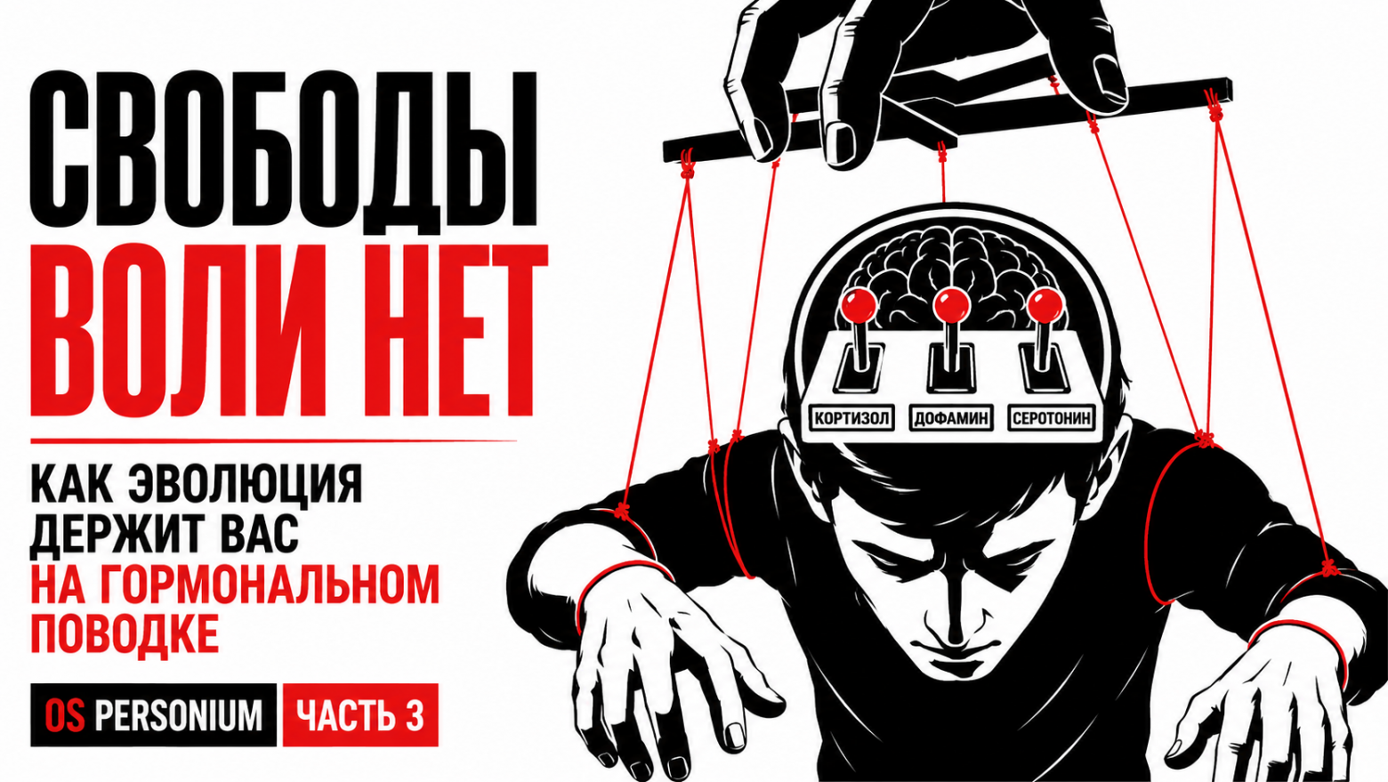 OS Personium. Часть 3: Свободы воли нет. Как эволюция держит нас на гормональном поводке - 1 OS Personium. Часть 3: Свободы воли нет. Как эволюция держит нас на гормональном поводке - 1